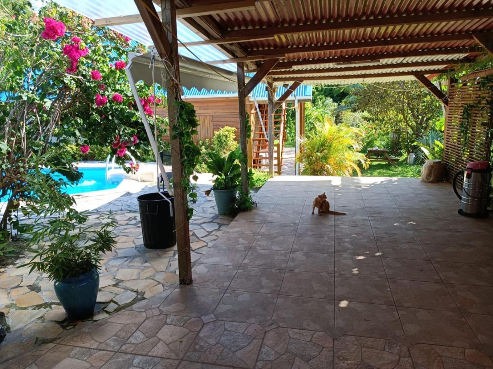 Gourbeyre Les Gites Du Sud - O Naturel מראה חיצוני תמונה